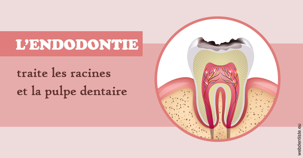 https://dr-lambert-philippe.chirurgiens-dentistes.fr/L'endodontie 2