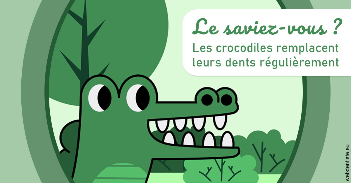 https://dr-lambert-philippe.chirurgiens-dentistes.fr/Crocodiles 2