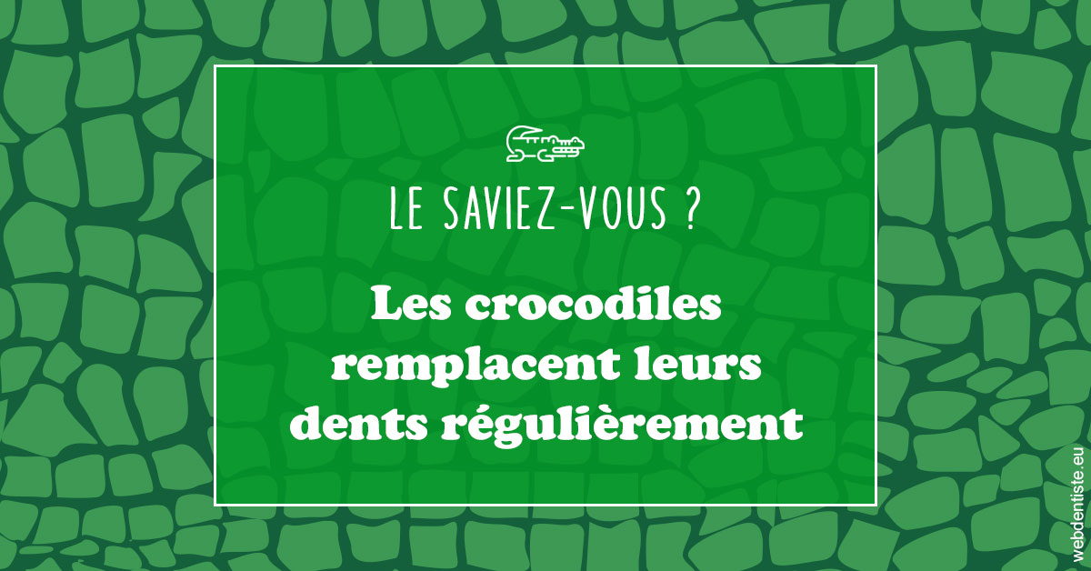 https://dr-lambert-philippe.chirurgiens-dentistes.fr/Crocodiles 1